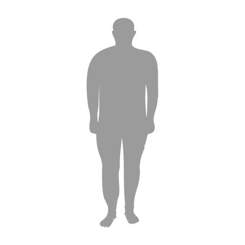 h3